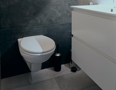 LVI Palvelut Pääkaupunkiseutu - WC Kalusteiden asennus